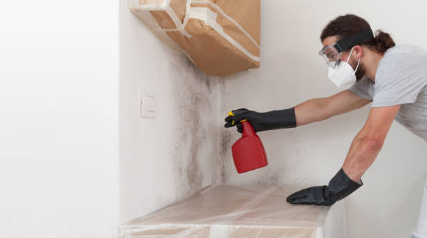 Professional Bathroom Mold Removal technician working in Streamwood, IL
