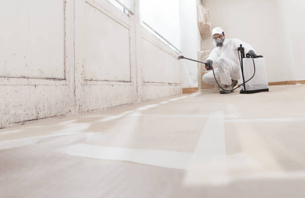 24/7 Emergency Bathroom Mold Removal experts in Streamwood, IL